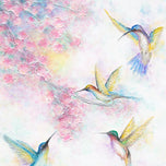 HUMMINGBIRDS