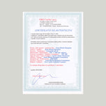 UNDISCOVERED GENIUS OF THE MISSISSIPPI DELTA