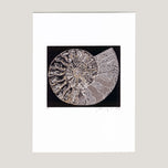 ČISTÁ KRÁSA AMONITA