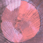 LA NAISSANCE DE VENUS