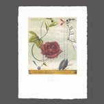 EX LIBRIS REGLINDE LATTERMANN