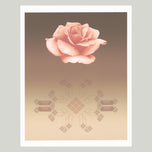 ROSE MATRIX VIII