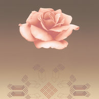 ROSE MATRIX VIII