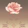 ROSE MATRIX VIII