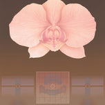 ROSE MATRIX II
