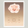 ROSE MATRIX VII