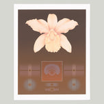 ORCHID MATRIX