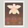 ORCHID MATRIX