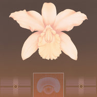 ORCHID MATRIX
