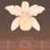 ORCHID MATRIX