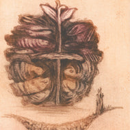 CESTA