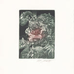 GIUSEPPE ARCIMBOLDO