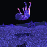 Poster: Falling Hole (Klára Sedlo)