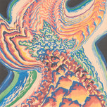 ÉTUDE POUR CONTE DE PISTILS ET D'ÉTAMINES