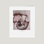 EX LIBRIS SUSI KOLAR-PLICKA