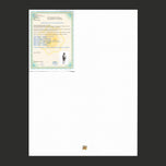 ELEPHANT IN THE ROOM