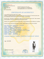 ELEPHANT IN THE ROOM