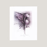 EX LIBRIS PIM ZWIERS