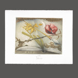 EX LIBRIS H. U. W. GREBE