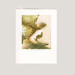 EX LIBRIS Dr. DIETER KOHLER