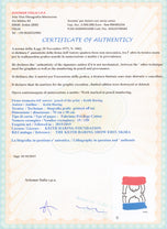 THE STORY OF RED AND BLUE