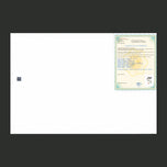 BOY WITH FLOWER WALL