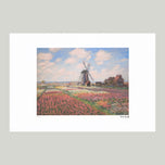 FIELDS OF TULIP WITH THE RIJNSBURG WINDMILL
