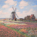 FIELDS OF TULIP WITH THE RIJNSBURG WINDMILL