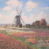 FIELDS OF TULIP WITH THE RIJNSBURG WINDMILL