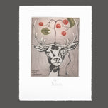 EX LIBRIS ALICE AEBERHARD