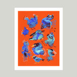 FICTIONAL BIRDS SOCIETY
