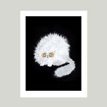 ANGRY FUZZBALL