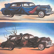 CAR CLOTHING