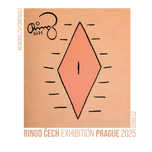 Tričko Nemohu zapomenout