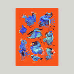 FICITONAL BIRDS SOCIETY