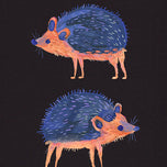 HEDGEHOGS