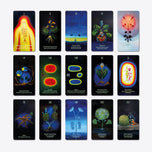VOYNICH ORACLE