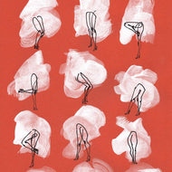 FICTIONAL BIRDS SOCIETY
