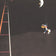 DOG BARKING AT THE MOON