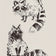 SKETCHY RACCOONS